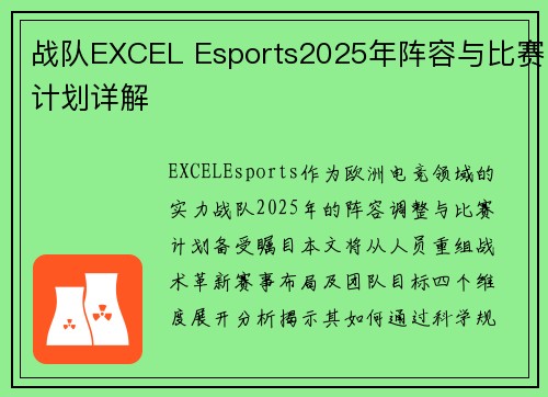 战队EXCEL Esports2025年阵容与比赛计划详解